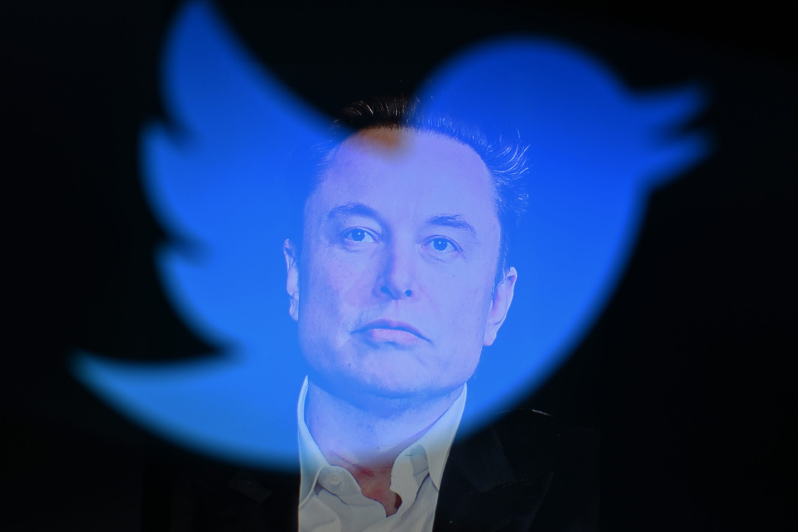 Elon Musk vor Twitter-Logo