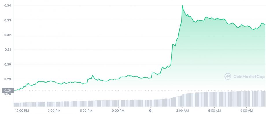 Market overview - These are the top altcoins of the day