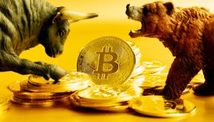 Bitcoin Bulle und Bär