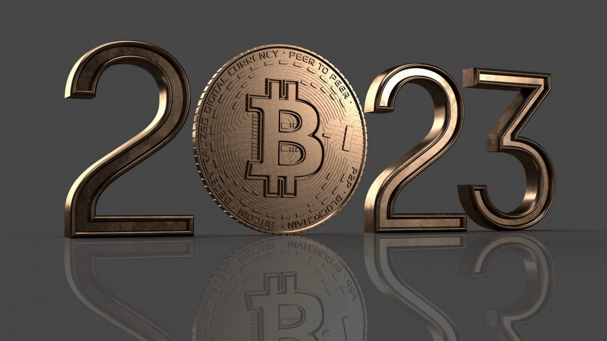 wie viel in bitcoin investieren sollte man in krypto investieren