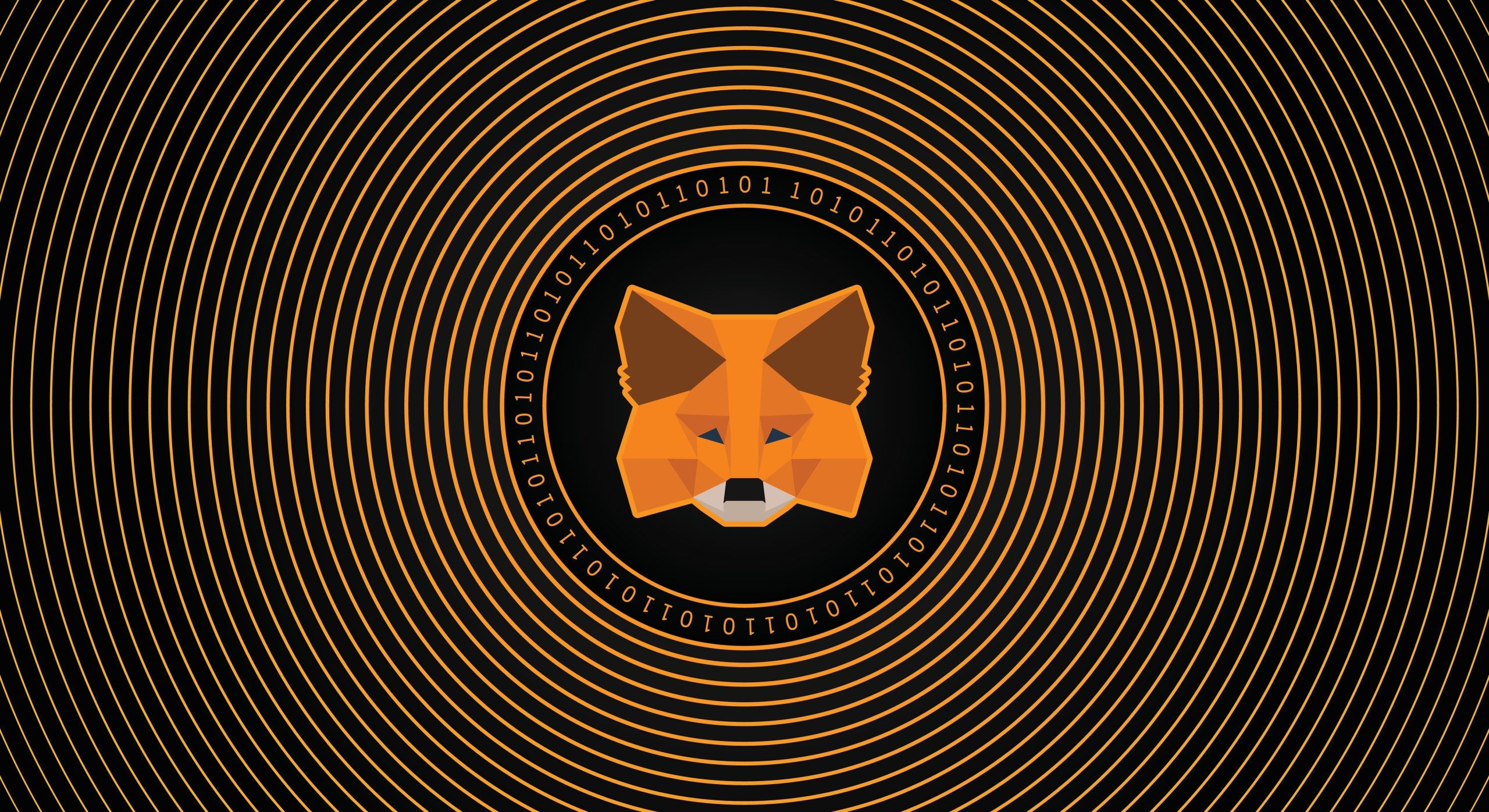 Krypto Wallet Metamask