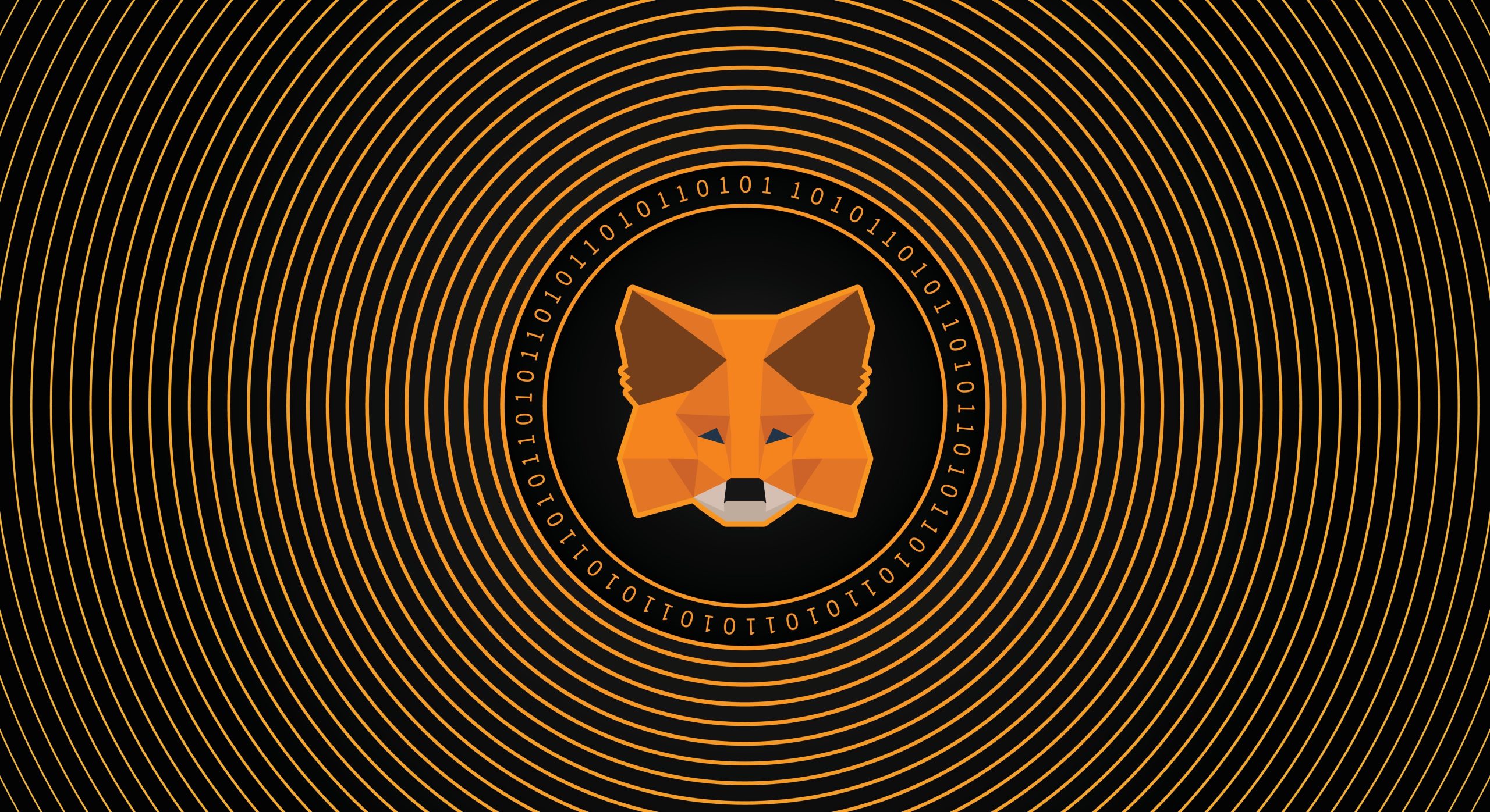 Krypto Wallet Metamask