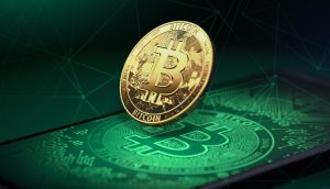 Bitcoin Hodl Millionäre