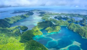 Palau Stablecoin Ripple