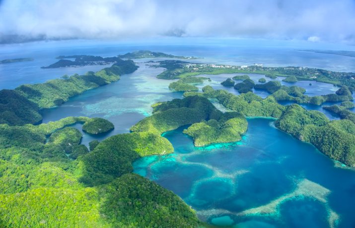 Palau Stablecoin Ripple