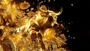 Bitcoin Bullrun