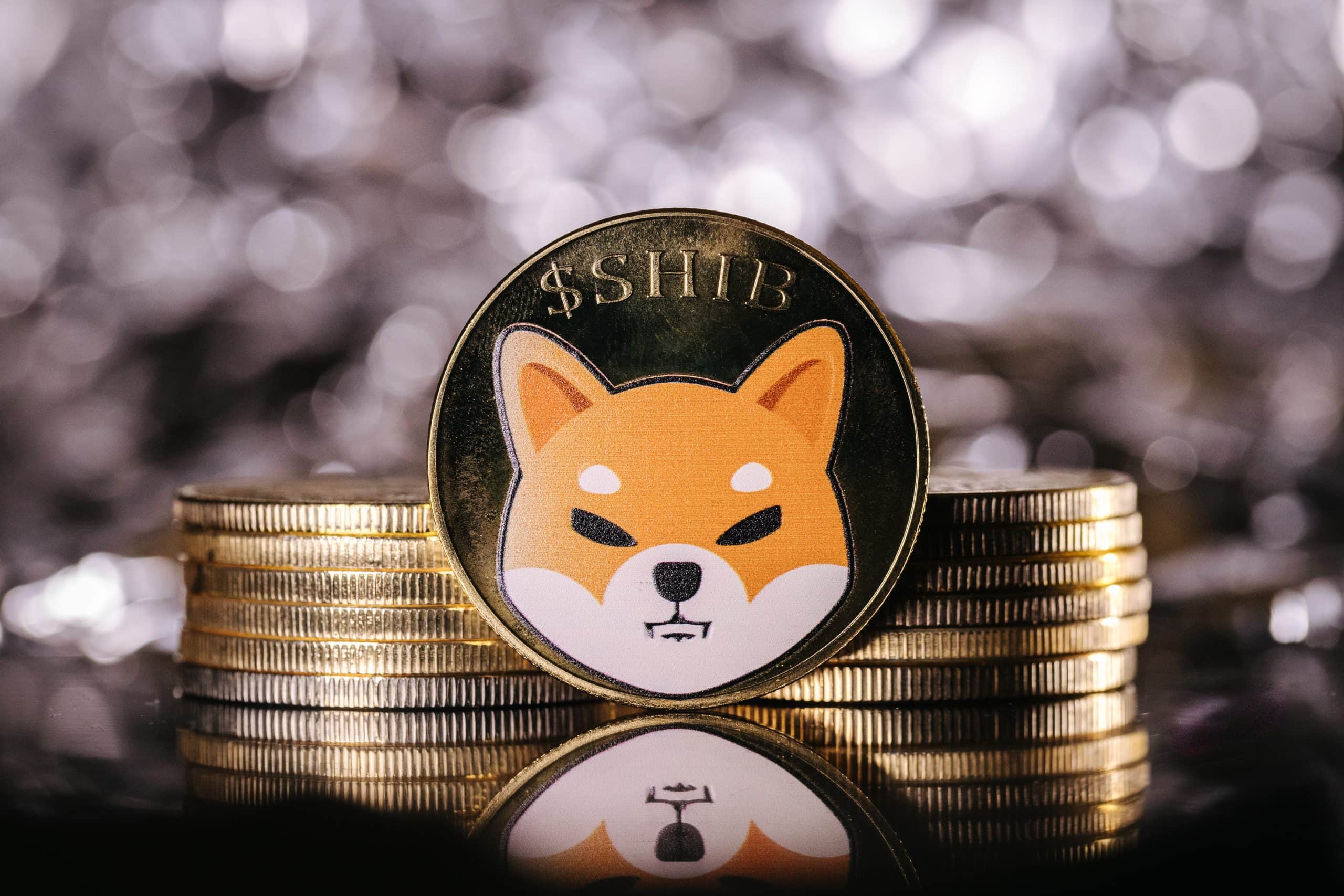 Shiba Inu: Wal verschickt 4,64 Billionen SHIB