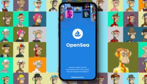 OpenSea Betrug Scam NFT