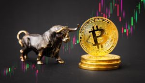 Bitcoin Bullrun