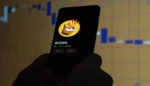 Bonk Solana Memecoin