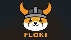 FLOKI3