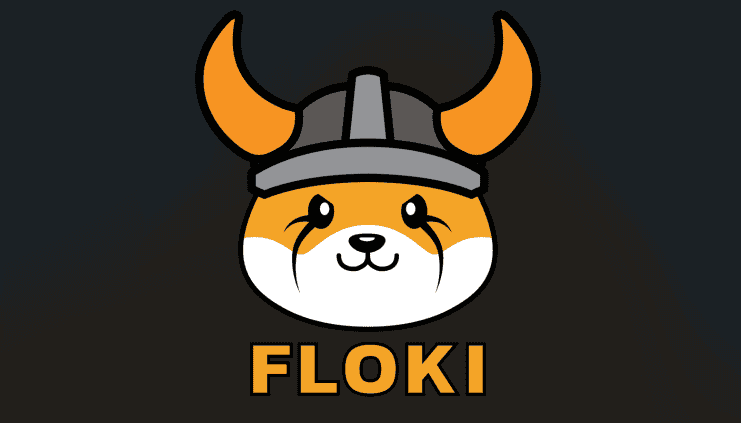 FLOKI3