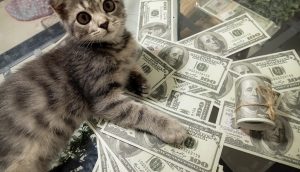 Memecoins