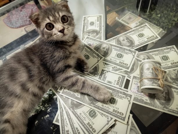 Memecoins