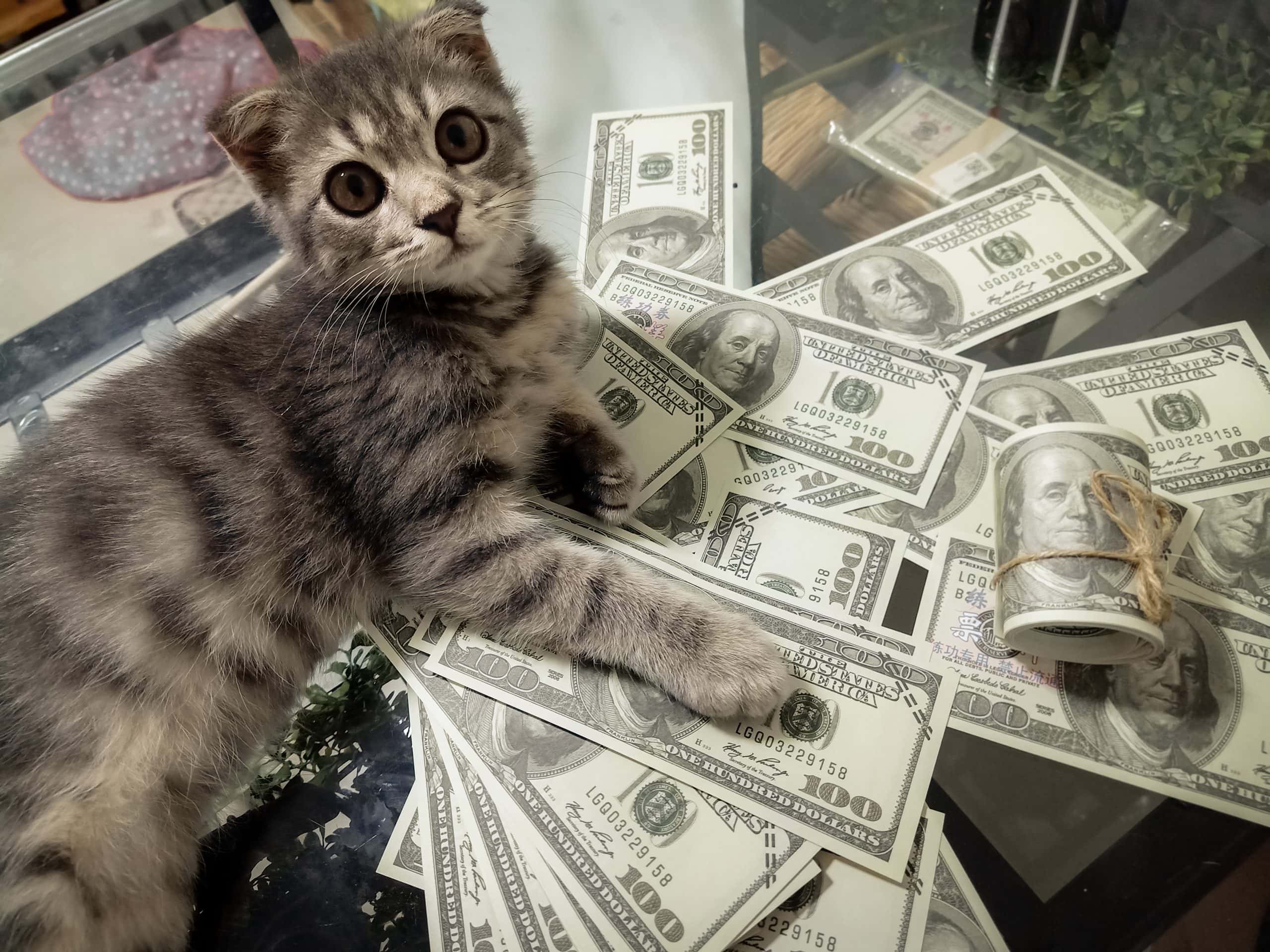Memecoins