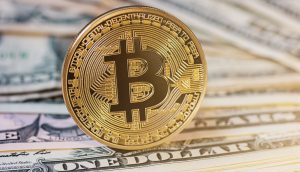 Von BRC-20-Token und Ordinals bis hin zu Runes und Layer-2-Netzwerke, im Bitcoin-Ökosystem gibt es immer mehr Innovationen
