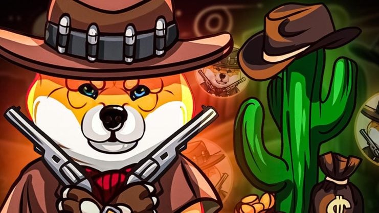 Shiba Shootout