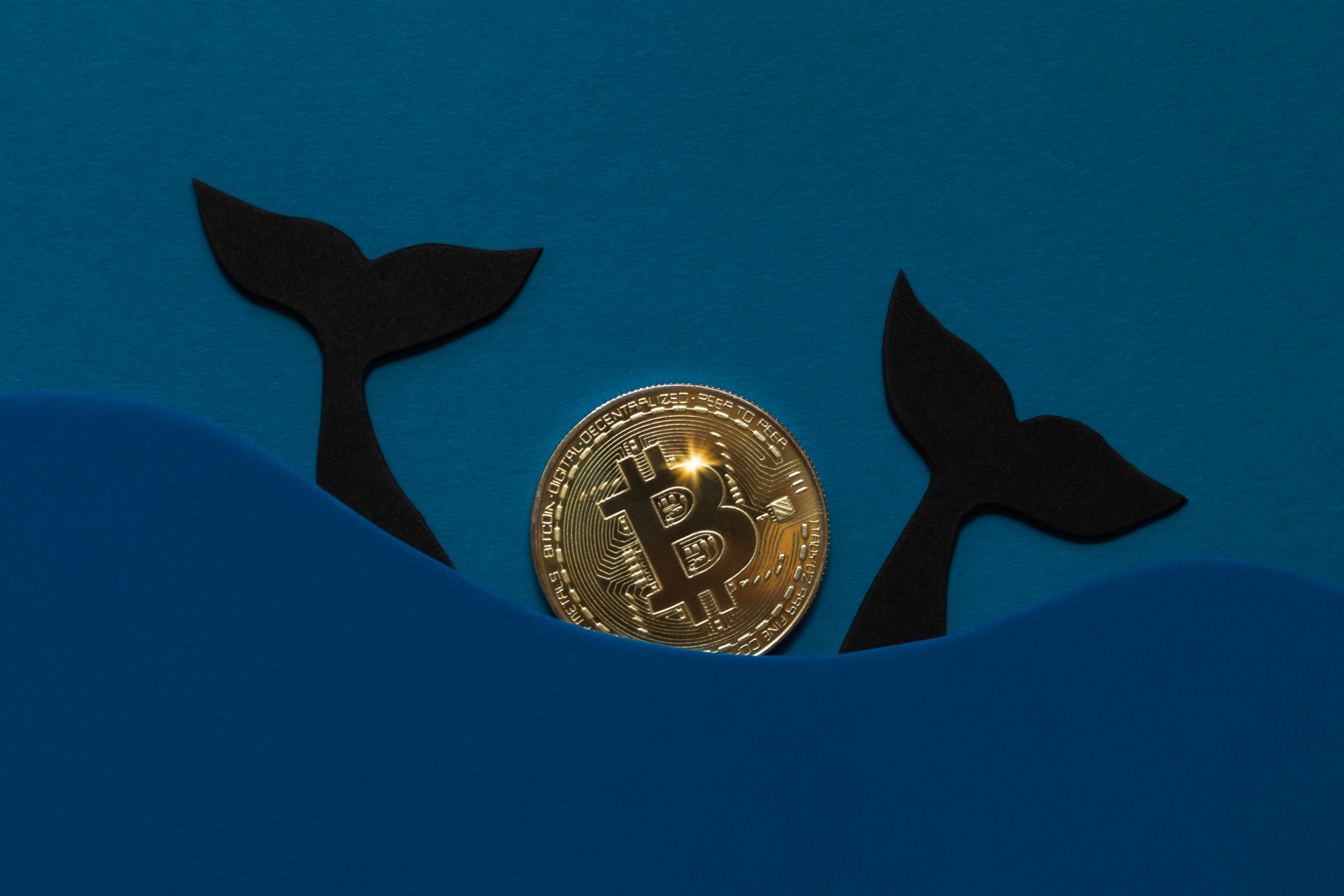 Bitcoin Wal