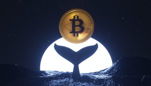 Immer wieder tauchen alte Bitcoin Wallets nach Jahren der Abwesenheit wieder auf Bitcoin Wal