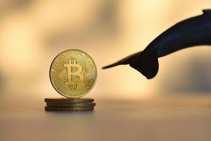 Bitcoin Wal