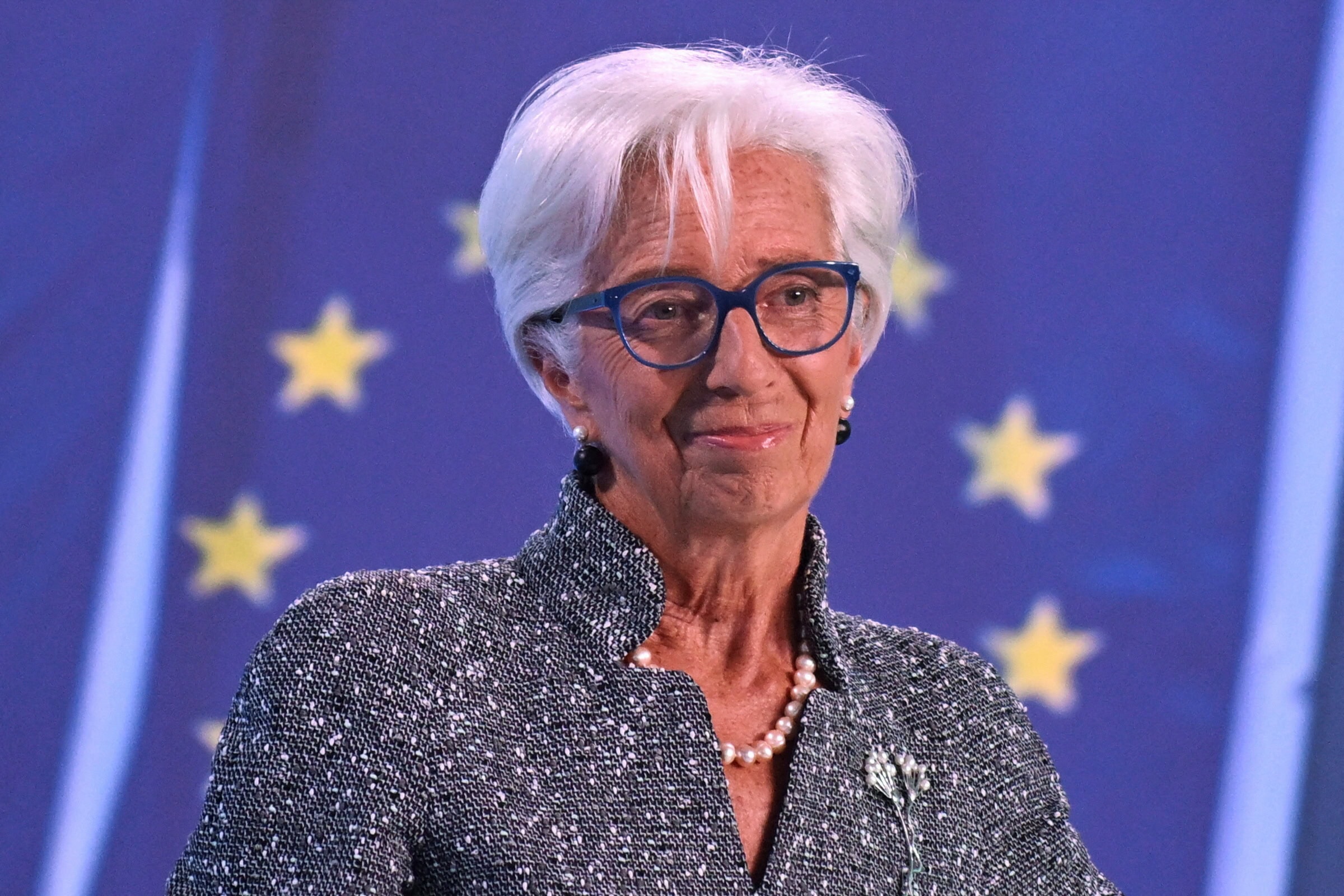 Die Person mit weißem Haar und Brille, die eine strukturierte Jacke und eine Halskette trägt, steht selbstbewusst vor einem Hintergrund aus gelben Sternen auf blauem Grund und erinnert so an die Symbolik des Euro.