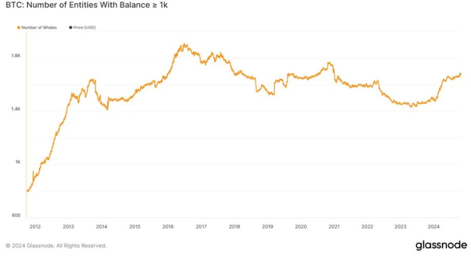 Bitcoin Wale