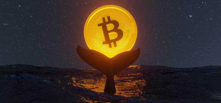Bitcoin Wale