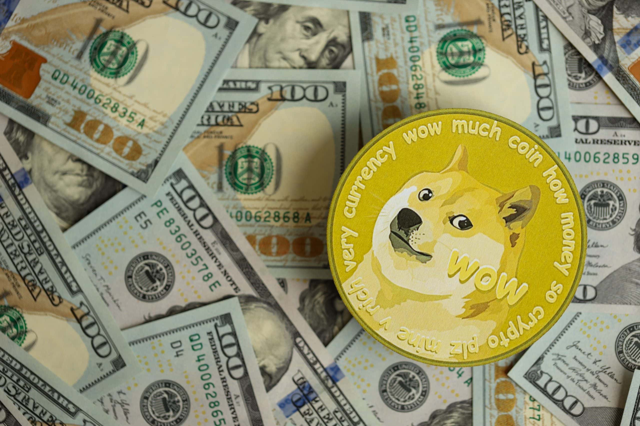 2025 könnte ein lukratives Jahr für Dogecoin und Co. werden