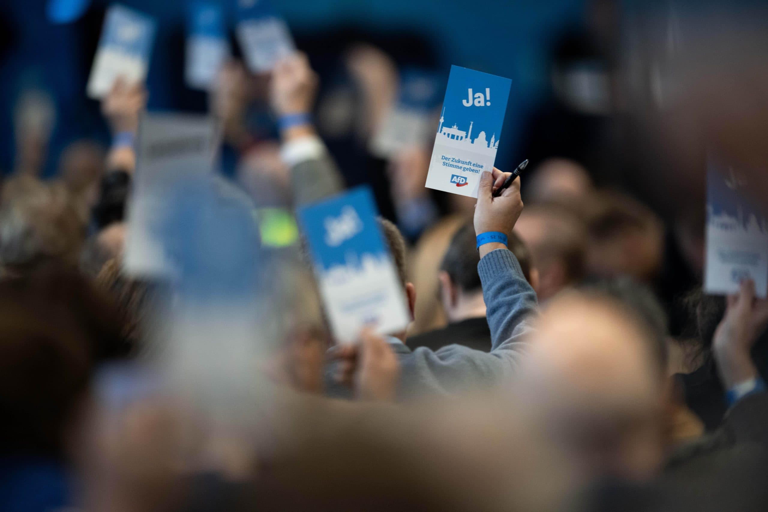 Nachdem FDP-Vorstoß gen Krypto nimmt nun auf die AfD Bitcoin und Co. mit ins Wahlprogramm auf