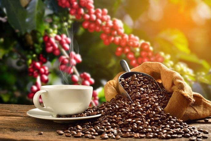 Eine Tasse Kaffee und verstreute Kaffeebohnen
