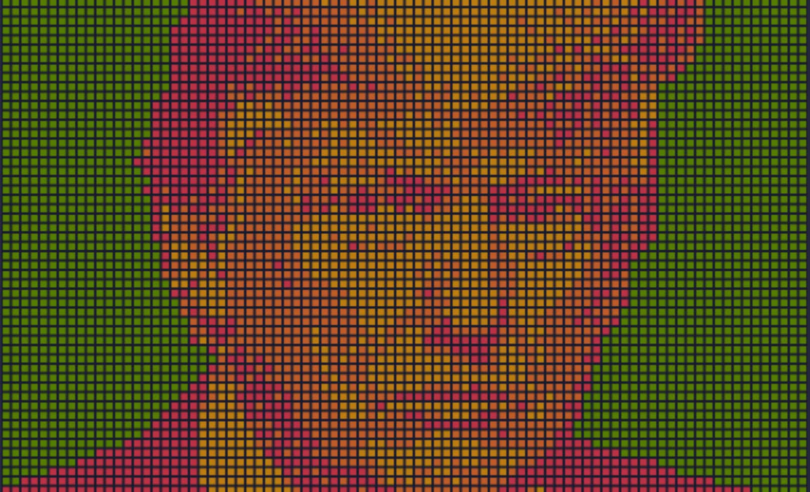 Trump Bitcoin