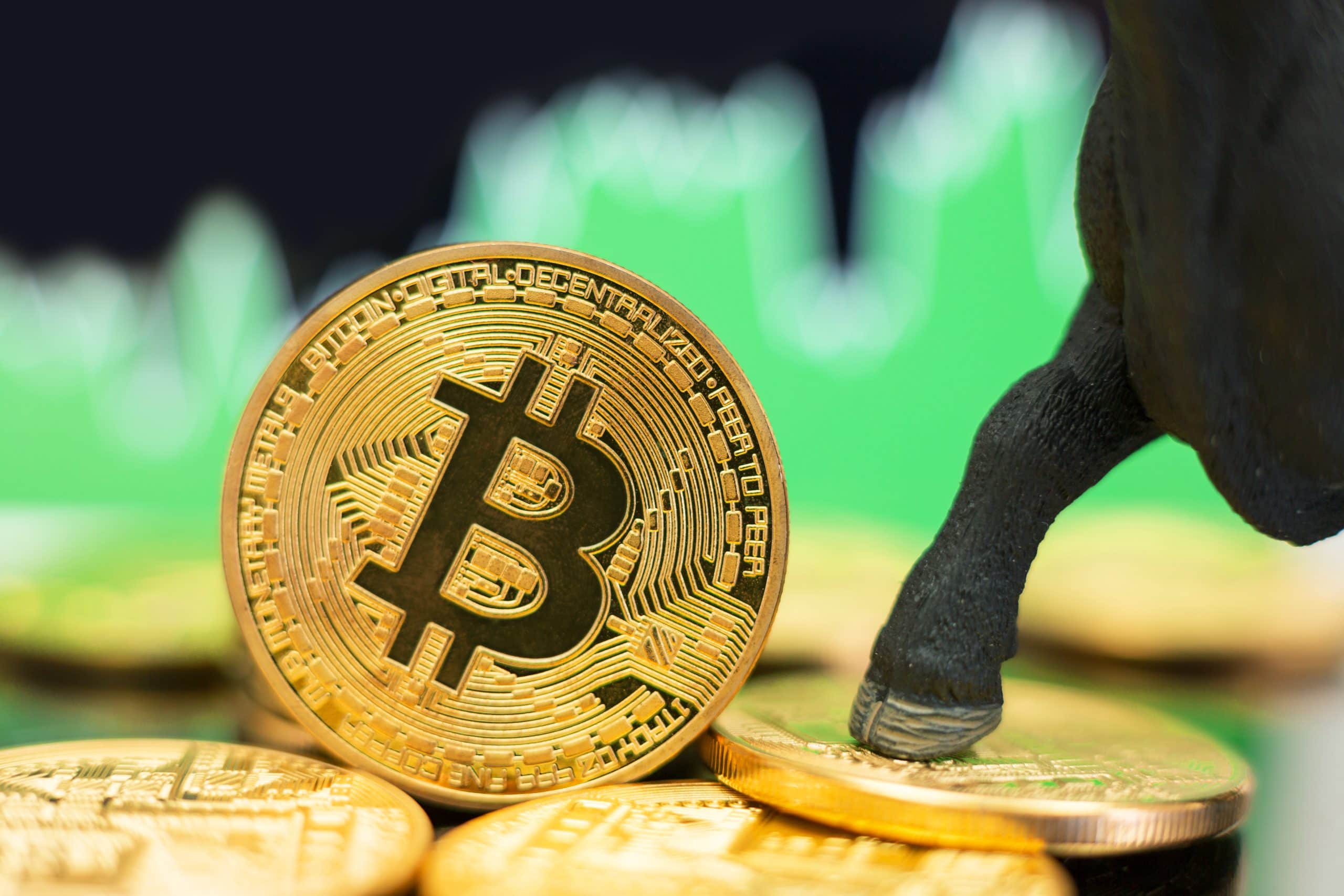 Bitcoin und ein Bulle