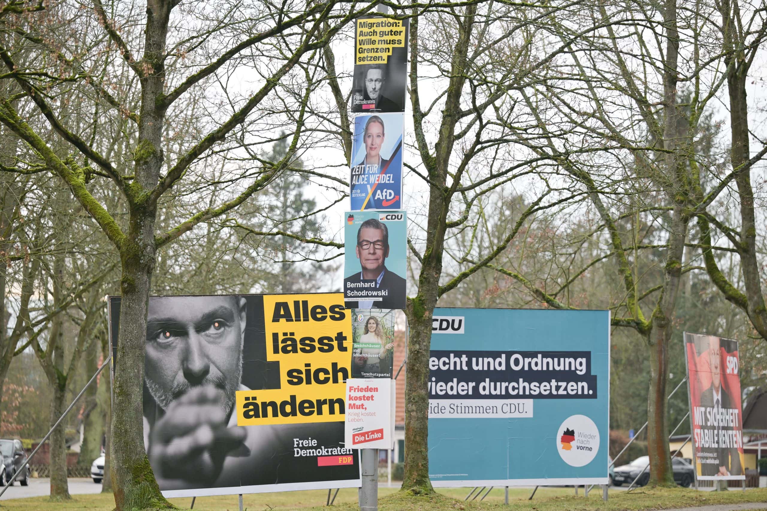 FDP, CDU und AfD Wahlplakate