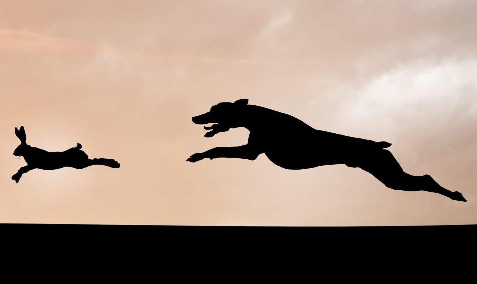 Silhouette eines Hundes, der impulsiv ein Kaninchen durch eine Landschaft jagt, mit der Sonne und einem bewölkten Himmel im Hintergrund.