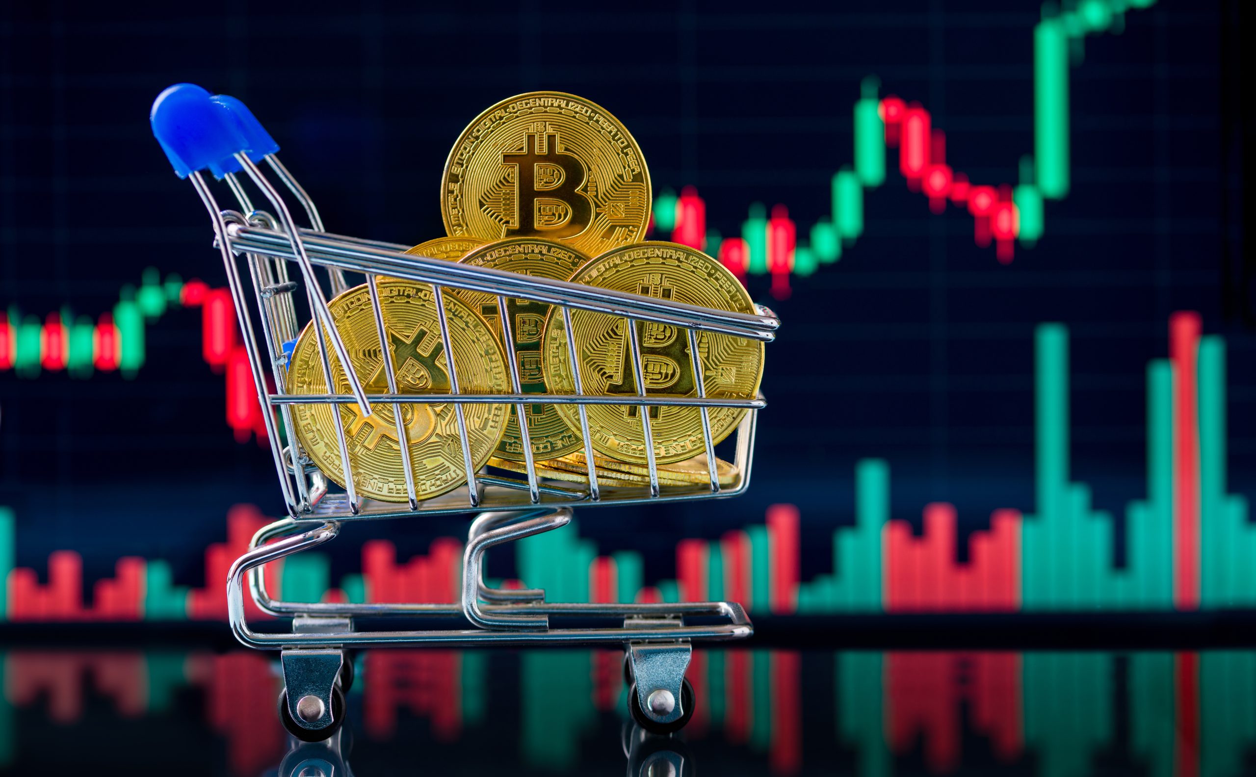 Ein mit Bitcoin-Münzen gefüllter Miniatur-Einkaufswagen steht vor einem digitalen Bildschirm, auf dem ein Candlestick-Chart angezeigt wird, das die dynamische Welt des Bitcoin-Handels symbolisiert.