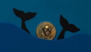 Eine goldene Bitcoin-Münze ist teilweise in blauen Papierwellen versunken, aus deren Nähe zwei schwarze Papierwalschwänze auftauchen.