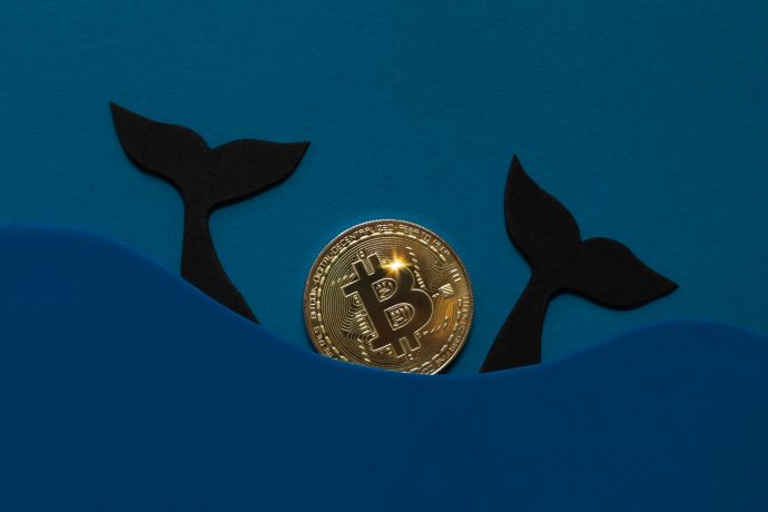 Eine goldene Bitcoin-Münze ist teilweise in blauen Papierwellen versunken, aus deren Nähe zwei schwarze Papierwalschwänze auftauchen.