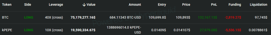 Ein Handels-Dashboard, das BTC- und PEPE-Positionen mit Hebelwirkung, Wert, Betrag, Einstieg, Preis, Gewinn und Verlust, Finanzierung und Liquidationsdetails anzeigt. BTC zeigt den Gewinn an; PEPE zeigt den Verlust an.