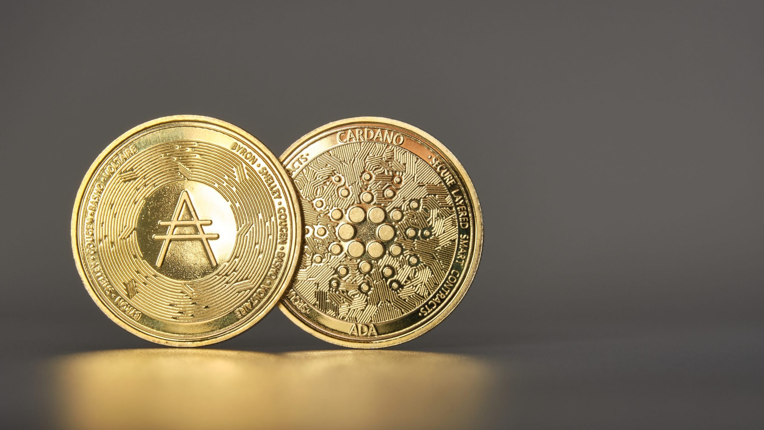 L'approbation du ETF est reportée: SEC a des investisseurs ADA et AVAX attendre - La Crypto Monnaie
