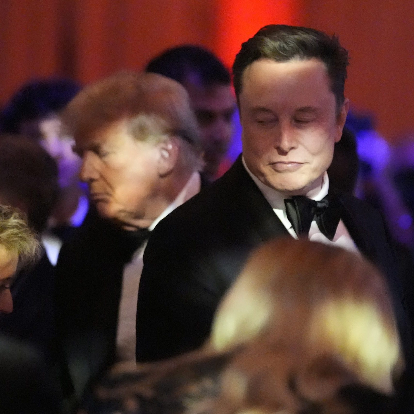 Musk belustigt Bitcoin-Szene – bröckelt Trumps Krypto-Imperium?