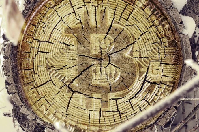 Ein Baumstumpf mit einem detaillierten Bitcoin-Symbol, das in die Oberfläche geschnitzt ist und sichtbare Risse und Wachstumsringe zeigt, die den dauerhaften Einfluss von Bitcoin hervorheben.