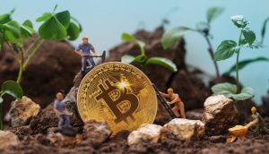 Bitcoin Münze auf Erde