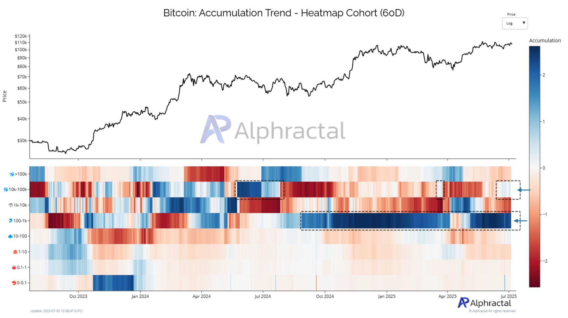 Bitcoin-Wale akkumulieren weiter Ein Liniendiagramm des Bitcoin-Preises im Zeitverlauf mit einer 60-Tage-Kohorten-Heatmap unten, die Akkumulationstrends in Blau und Rot zeigt, markiert mit gestrichelten Rechtecken für bemerkenswerte Zeiträume.