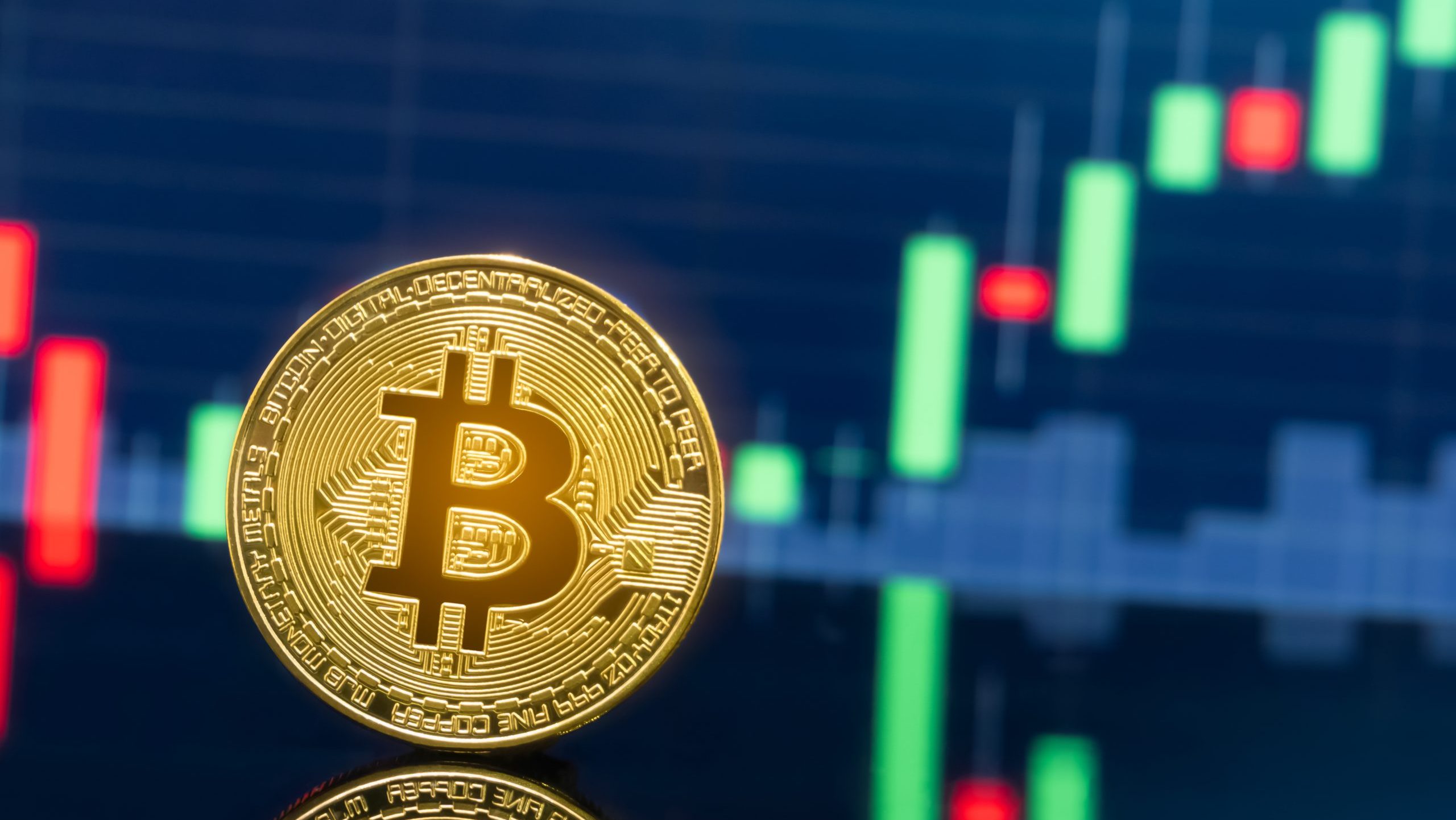 Eine goldene Bitcoin-Münze steht vor einem digitalen Bildschirm, der ein Bitcoin-Kerzenchart mit grünen und roten Balken anzeigt.