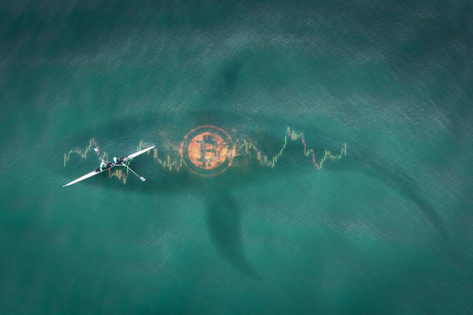 Luftaufnahme einer Person, die auf dem Wasser rudert, mit einem großen Bitcoin-Logo und einer Aktienkarte, die die Form eines Bitcoin-Hais unter der Oberfläche bildet.