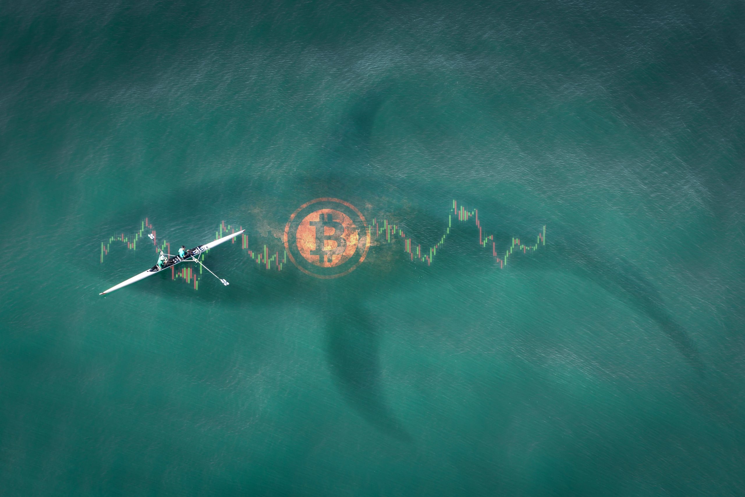 Luftaufnahme einer Person, die auf dem Wasser rudert, mit einem großen Bitcoin-Logo und einer Aktienkarte, die die Form eines Bitcoin-Hais unter der Oberfläche bildet.