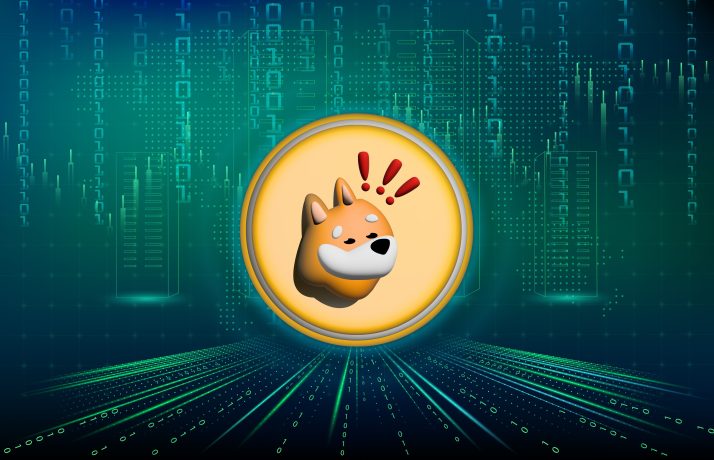 Eine digitale Illustration eines Shiba-Inu-Hundes in einer Goldmünze mit dem Text "Bonk" vor einem Hintergrund aus binärem Code und futuristischen Stadtlandschaftsgrafiken.