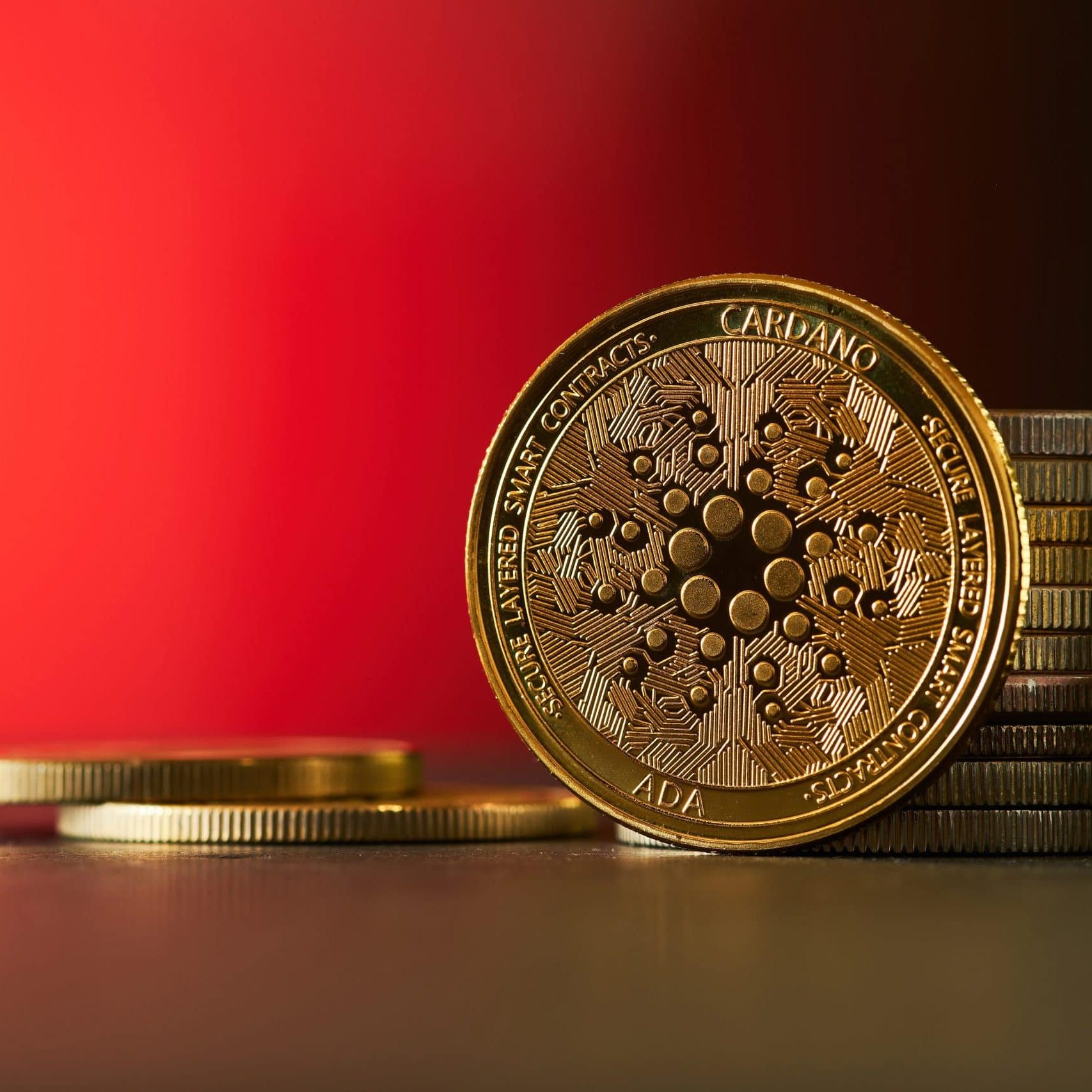 Cardano vor entscheidender Phase: Startschuss für Kursrallye?