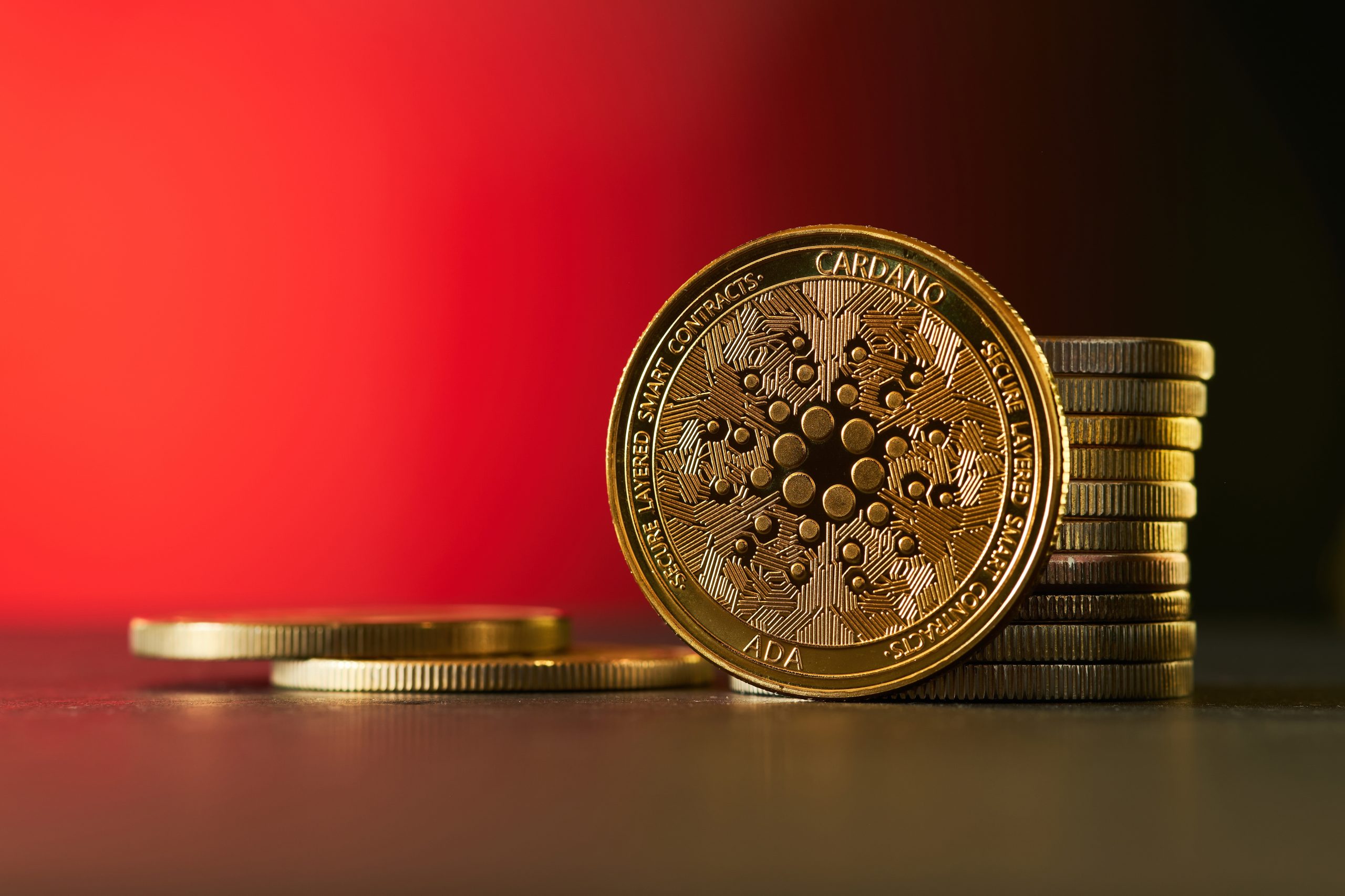 Cardano vor entscheidender Phase: Startschuss für Kursrallye?