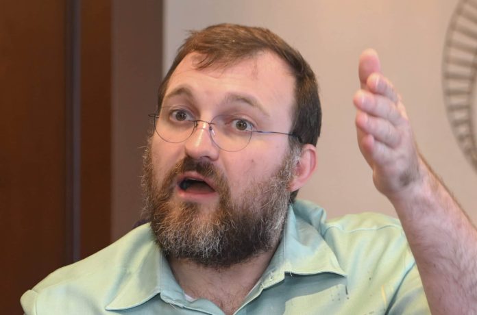 Ein Mann mit Brille und Bart, der ein hellgrünes Hemd mit einer Katzengrafik trägt, gestikuliert mit seiner rechten Hand, während er am Tisch über Cardano diskutiert.